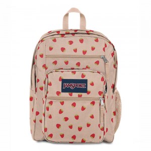 Mochila Para Portátil JanSport BIG STUDENT Mochilas Rosas Rojas | CRJKU85501