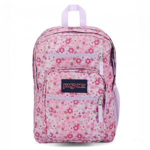 Mochila Para Portátil JanSport BIG STUDENT Mochilas Rosas | QCRWA44090