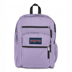 Mochila Para Portátil JanSport BIG STUDENT Mochilas Moradas | FCRUI25879