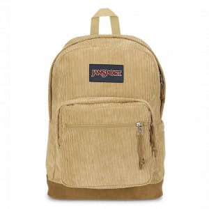 Mochila Para Portátil JanSport Right Pack Mochilas Kaki | ECRHC27398