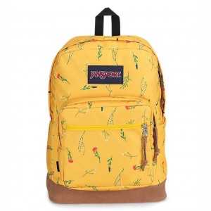 Mochila Para Portátil JanSport Right Pack Mochilas Amarillo | LCRTR10048