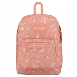 Mochila Para Portátil JanSport SuperBreak® Plus Mochilas Rosas | ACRWC19033