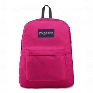 Mochila Para Portátil JanSport SuperBreak® Plus Mochilas Moradas | CRNEJ48260