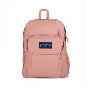 Mochila Para Portátil JanSport UNION PACK Mochilas Rosas | SCRVO24503