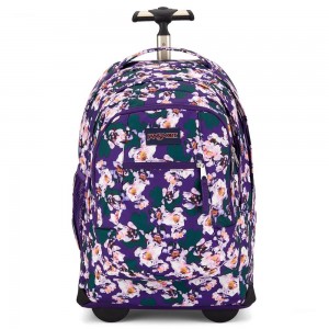 Mochilas de trabajo JanSport Driver 8 Rolling Mochilas Moradas | CRNEJ73935