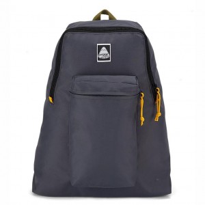 Mochilas escolares JanSport SKI N HIKE Mochilas Gris | QCRWA55780