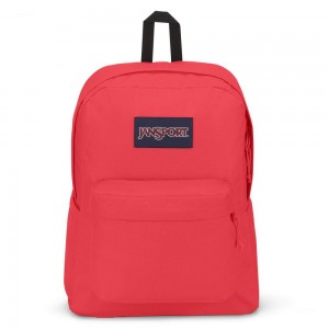 Mochilas escolares JanSport SuperBreak® Plus Mochilas Rosas | CRZDE17263