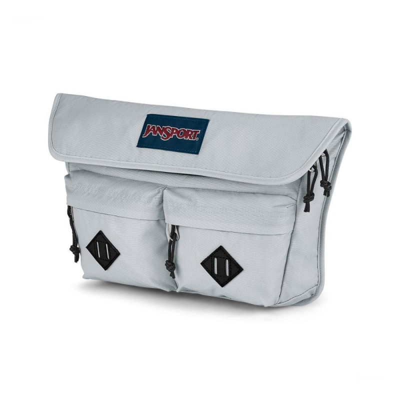 Bolsos Cruzados JanSport Larimer Bolsas Gris | XCRGW64425