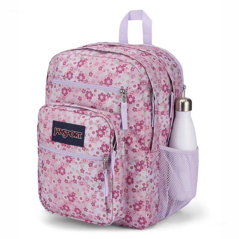 Mochila Para Portátil JanSport BIG STUDENT Mochilas Rosas | QCRWA44090