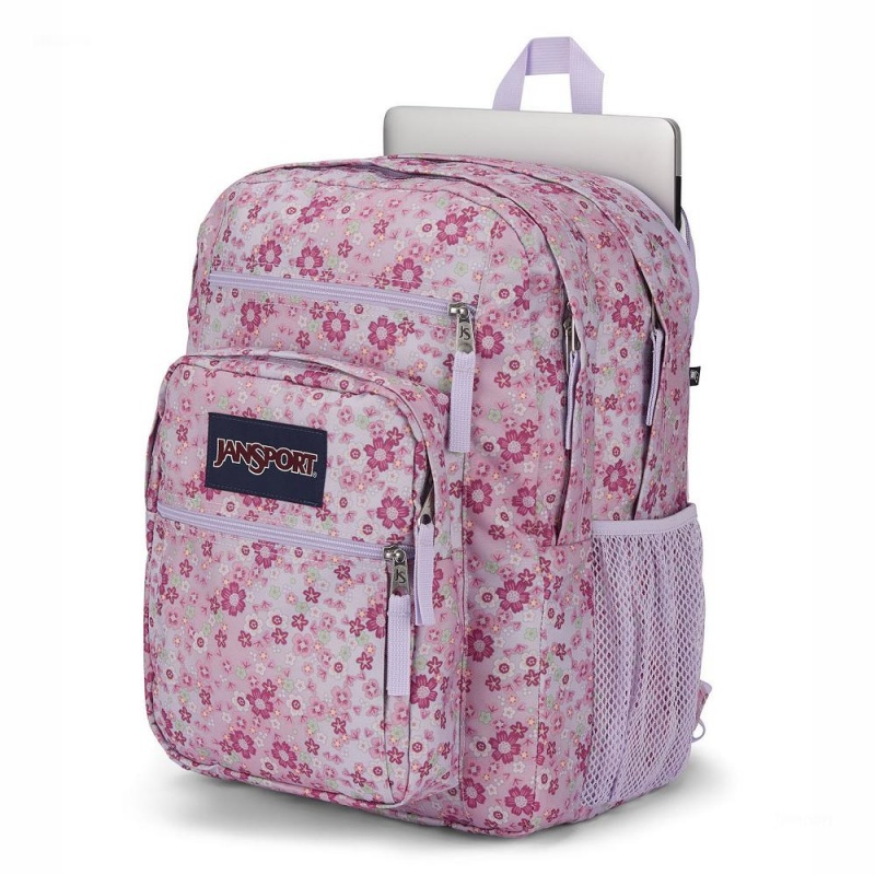 Mochila Para Portátil JanSport BIG STUDENT Mochilas Rosas | QCRWA44090