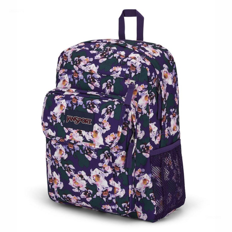 Mochila Para Portátil JanSport UNION PACK Mochilas Moradas | CRJVR86163