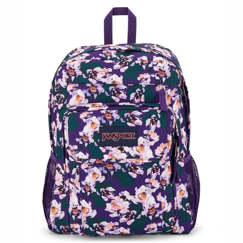 Mochila Para Portátil JanSport UNION PACK Mochilas Moradas | CRJVR86163