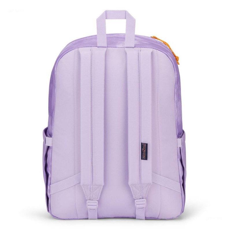 Mochilas escolares JanSport Double Break Mochilas Moradas | CRNZX47670