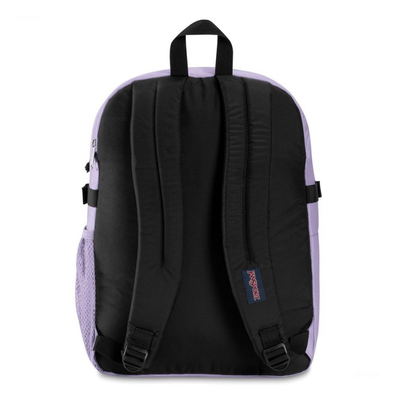 Mochilas escolares JanSport Main Campus Mochilas Moradas | ACRWC57055