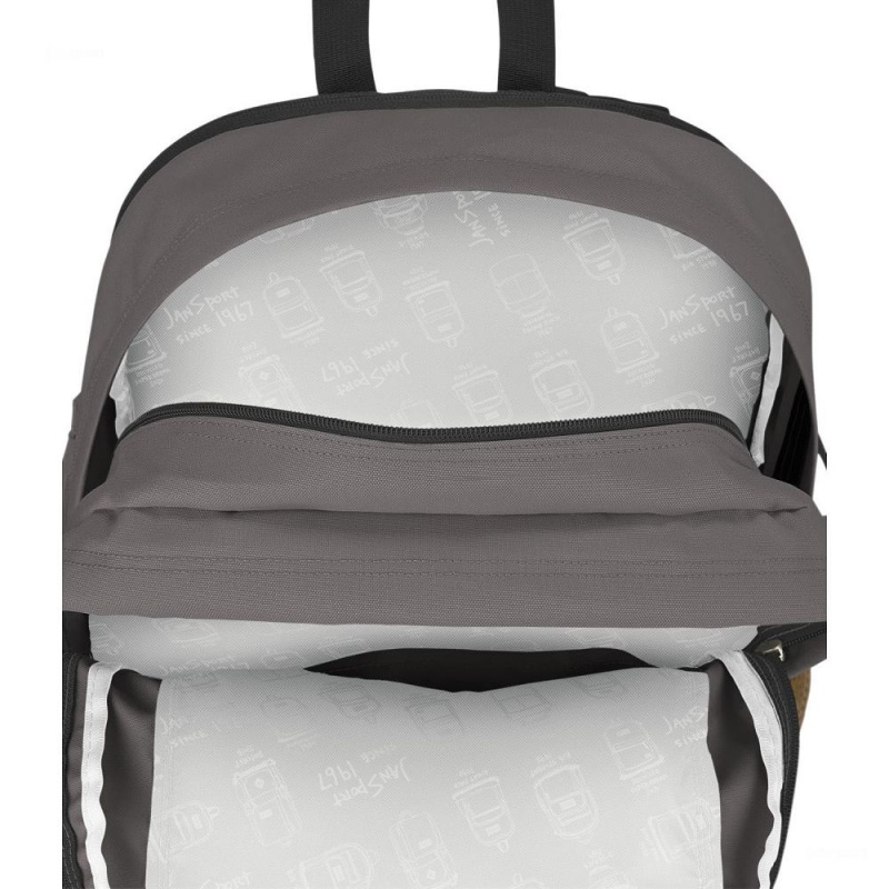 Mochilas escolares JanSport Main Campus Mochilas Gris | XCRGW98297