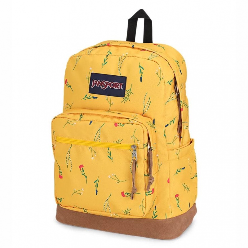 Mochilas escolares JanSport Right Pack Mochilas Amarillo | PCRER45432