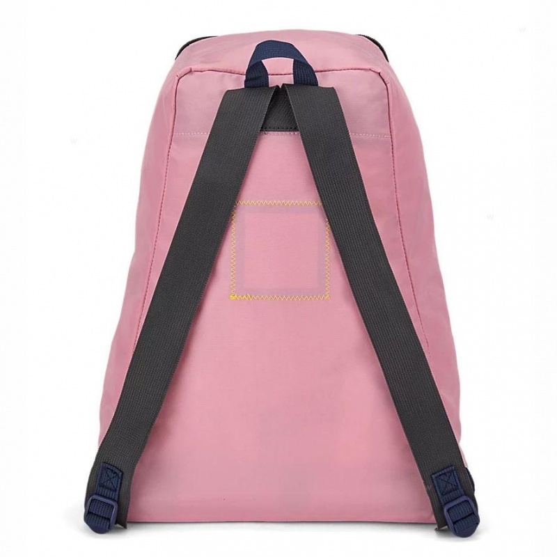 Mochilas escolares JanSport SKI N HIKE Mochilas Rosas | CRJZR89819