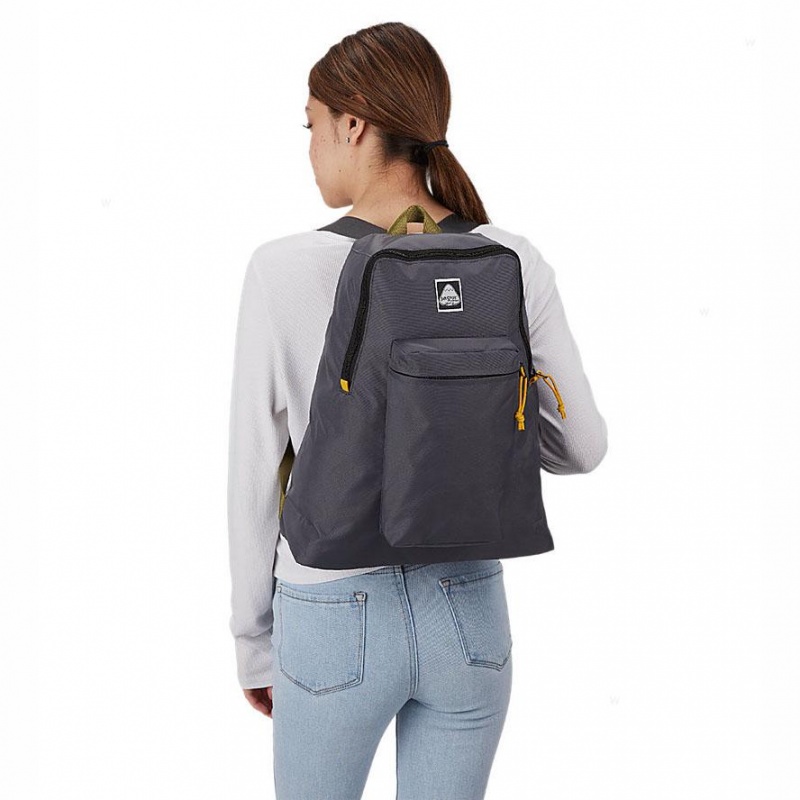 Mochilas escolares JanSport SKI N HIKE Mochilas Gris | QCRWA55780