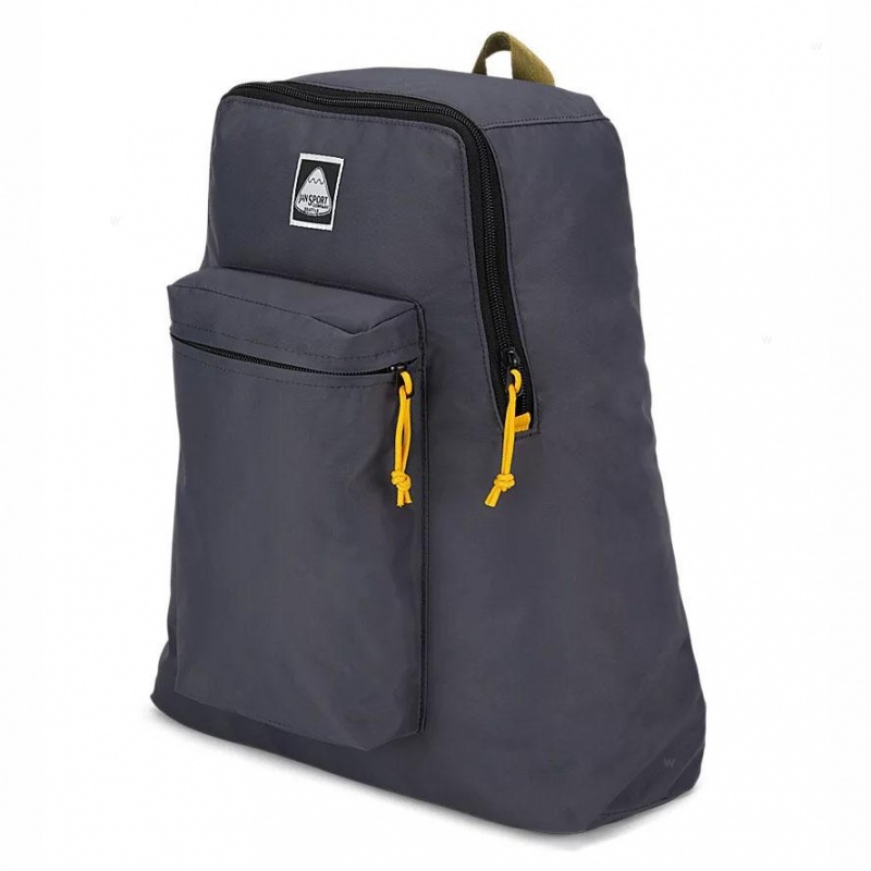 Mochilas escolares JanSport SKI N HIKE Mochilas Gris | QCRWA55780