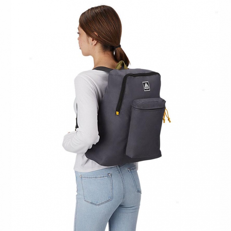 Mochilas escolares JanSport SKI N HIKE Mochilas Gris | QCRWA55780