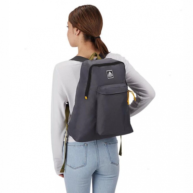 Mochilas escolares JanSport SKI N HIKE Mochilas Gris | QCRWA55780