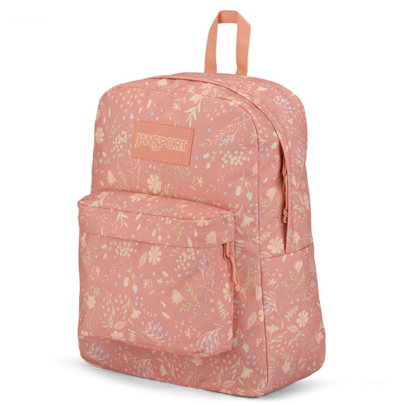 Mochilas escolares JanSport SuperBreak® Plus Mochilas Rosas | YCRGT97384