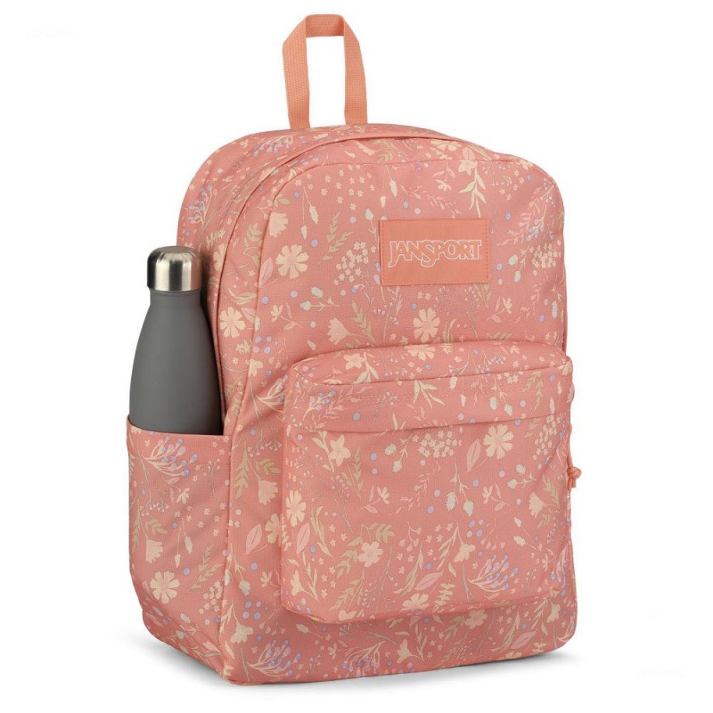 Mochilas escolares JanSport SuperBreak® Plus Mochilas Rosas | YCRGT97384